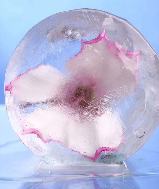 A Floral frozen inside an ice ball